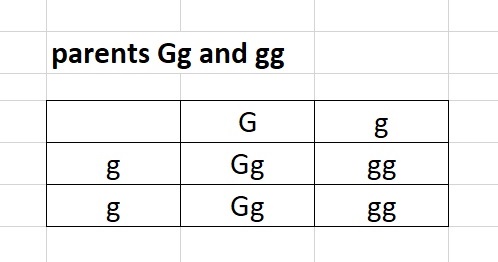 the temperature changes of water from solid to gas